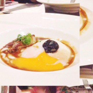 Truffle foie gras - Tanjong Pagar / Violet Herbs (Tanjong Pagar)|Singapore