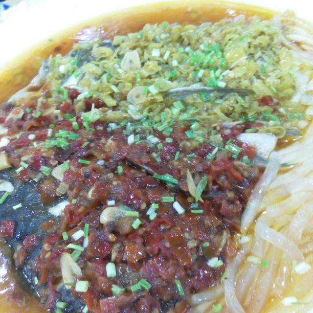 双色鱼头