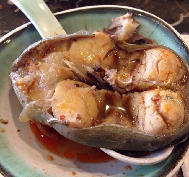 鲶鱼