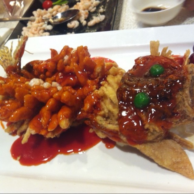 松鼠桂鱼