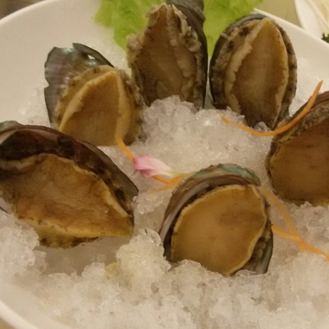 小鲍鱼