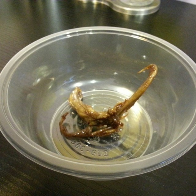 鸭舌