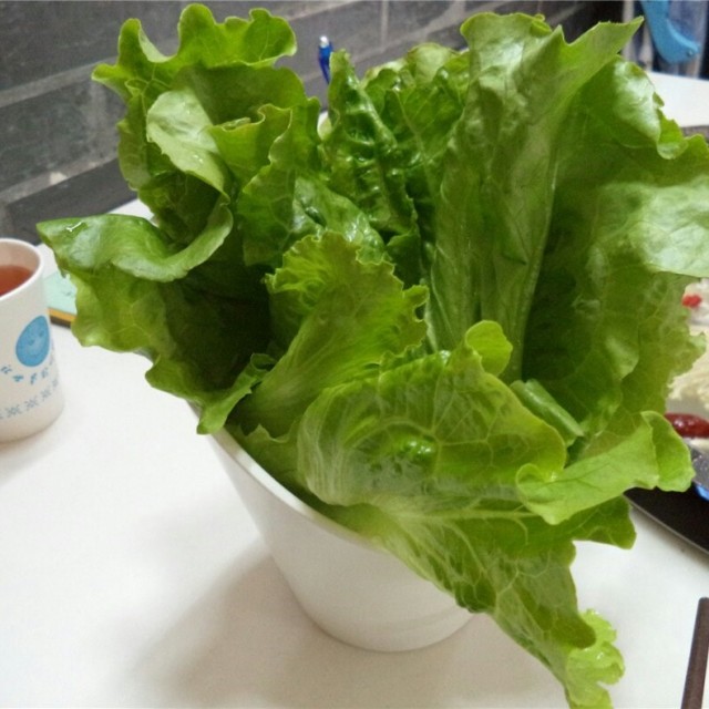 生菜