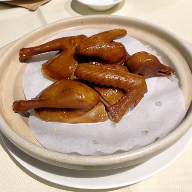 乳鸽