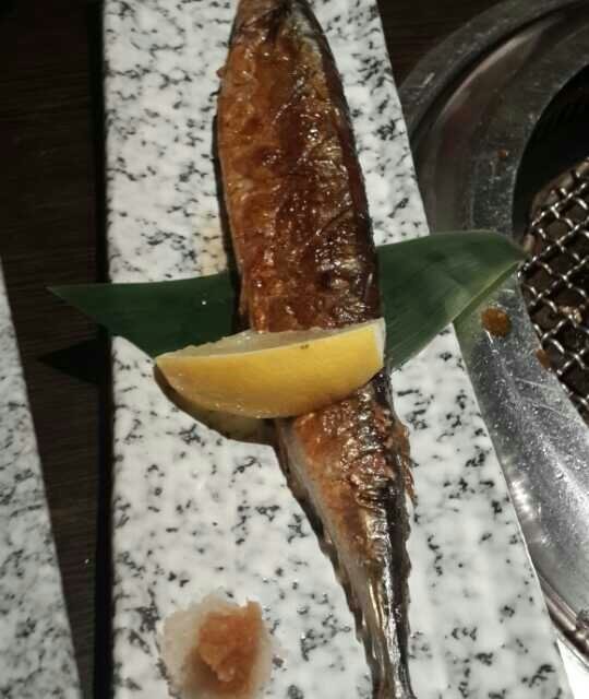 生鱼片真鲷，白干，秋刀鱼，软丝