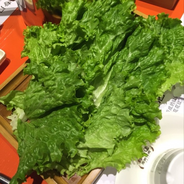 生菜