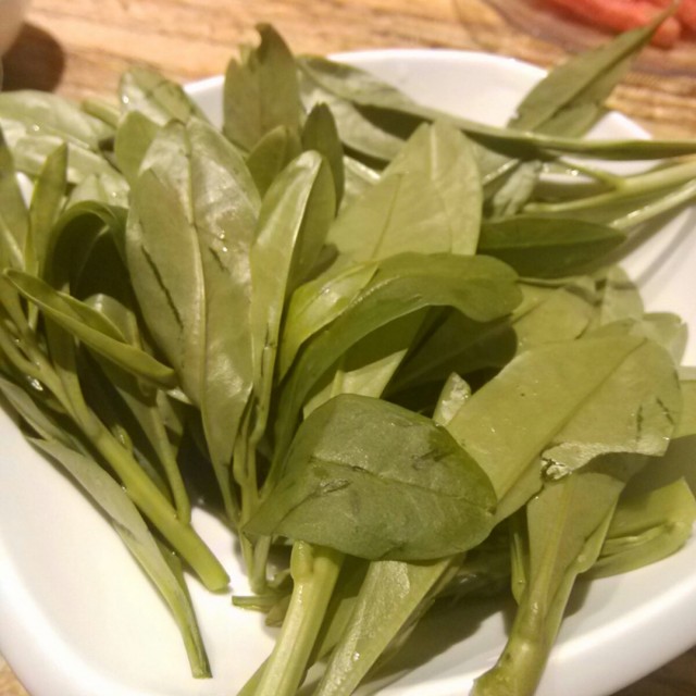 海南人参苗