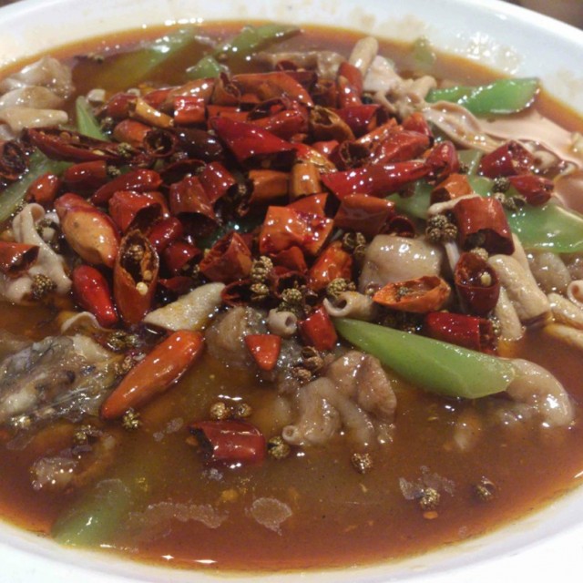 馋嘴牛蛙