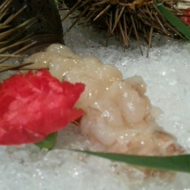 龙虾