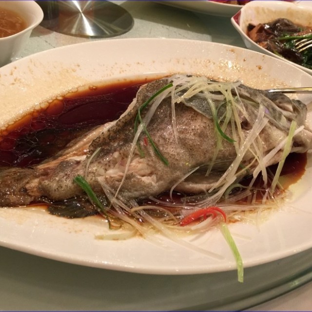 豉皇海红斑