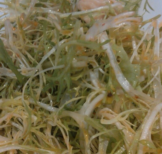 拌苦菊