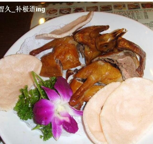 乳鸽