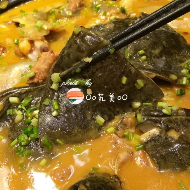 老母鸡汤炖野生甲鱼