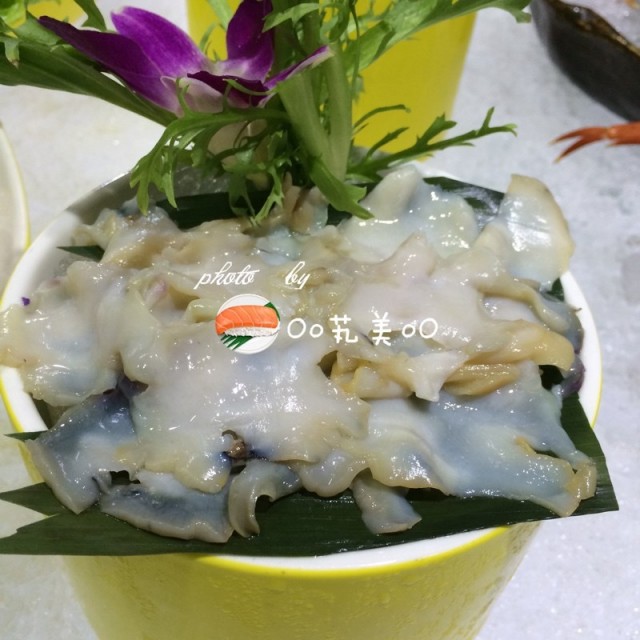 象拔蚌