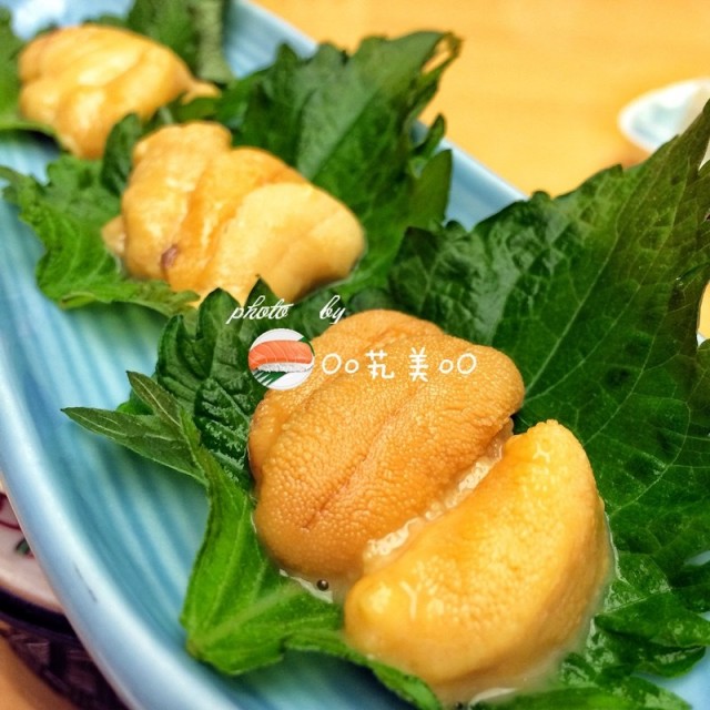 活海胆
