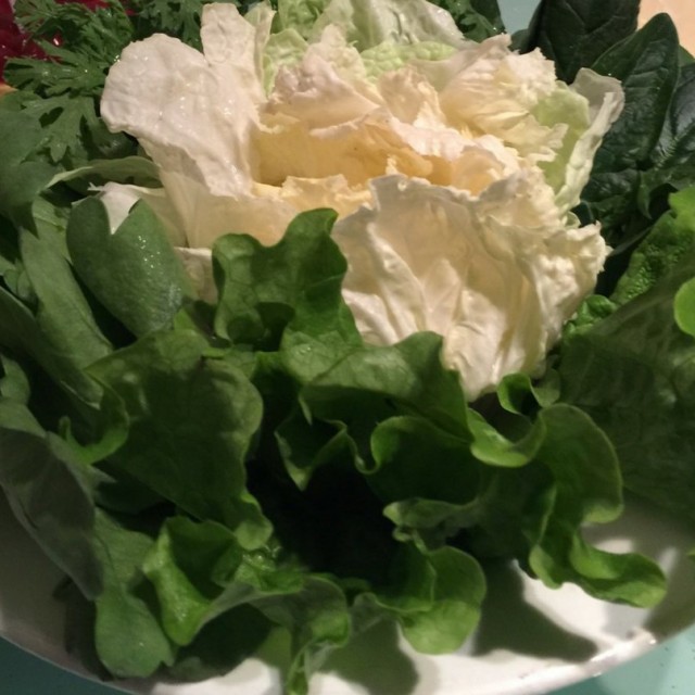 蔬菜拼盘