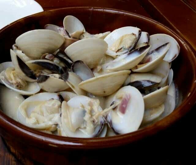 奶油白贝