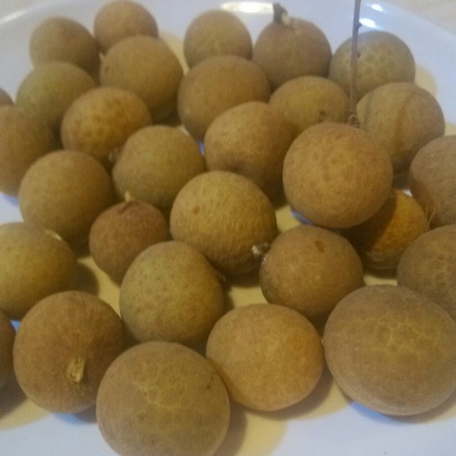 桂圆
