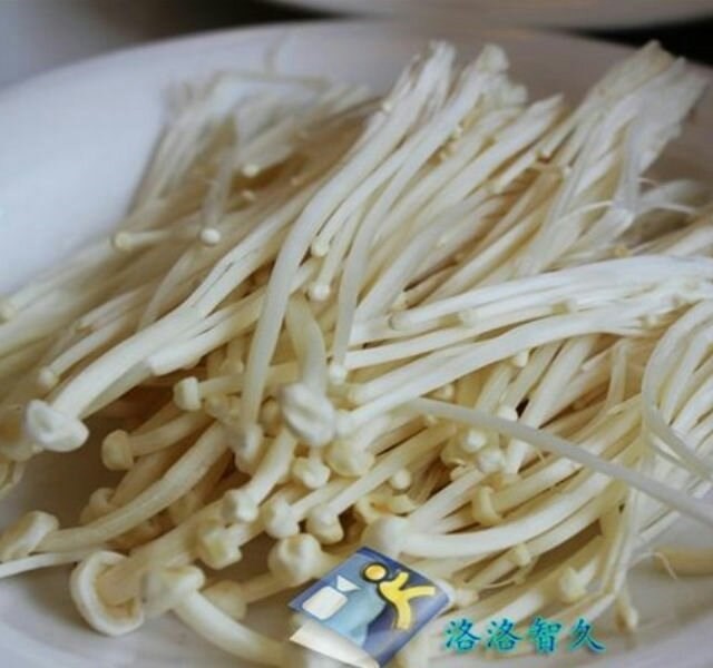 金针菇