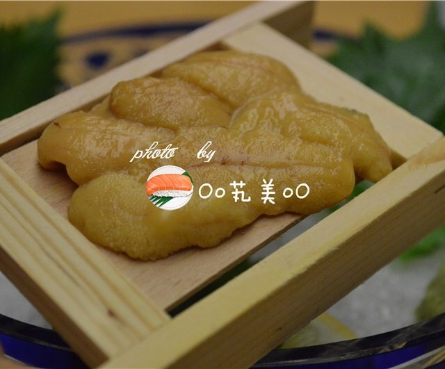 板海胆