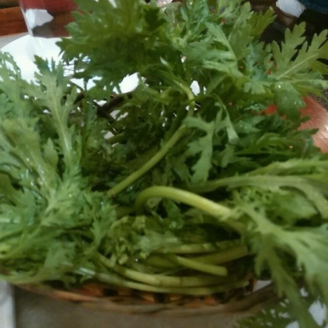 蒿子杆