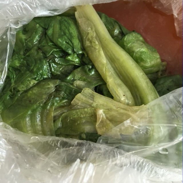 白灼生菜