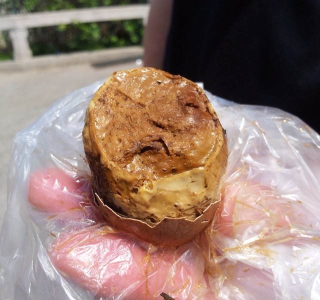 毛蛋