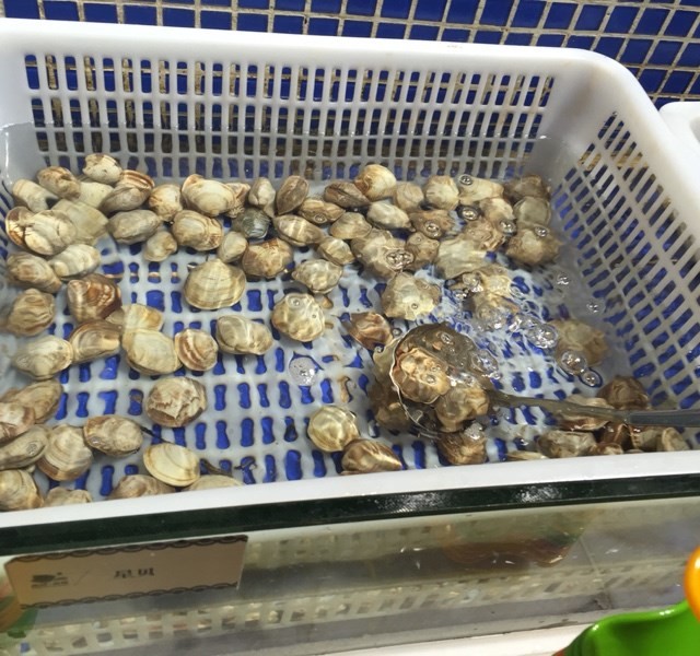 花甲