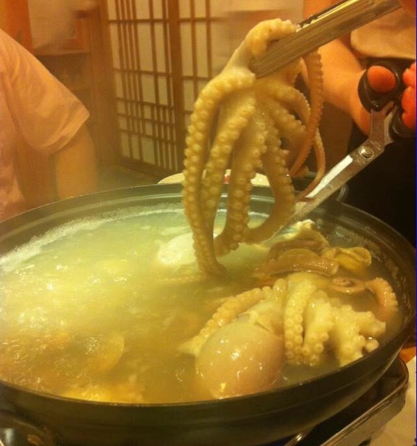 活章鱼火锅
