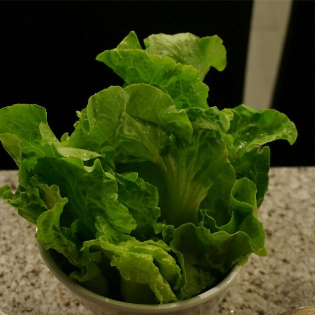 生菜