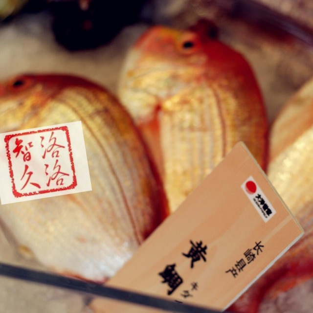 黄鲷