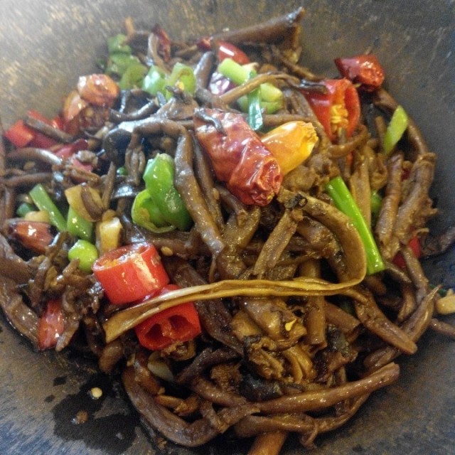 茶树菇