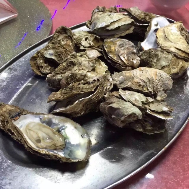 生蚝