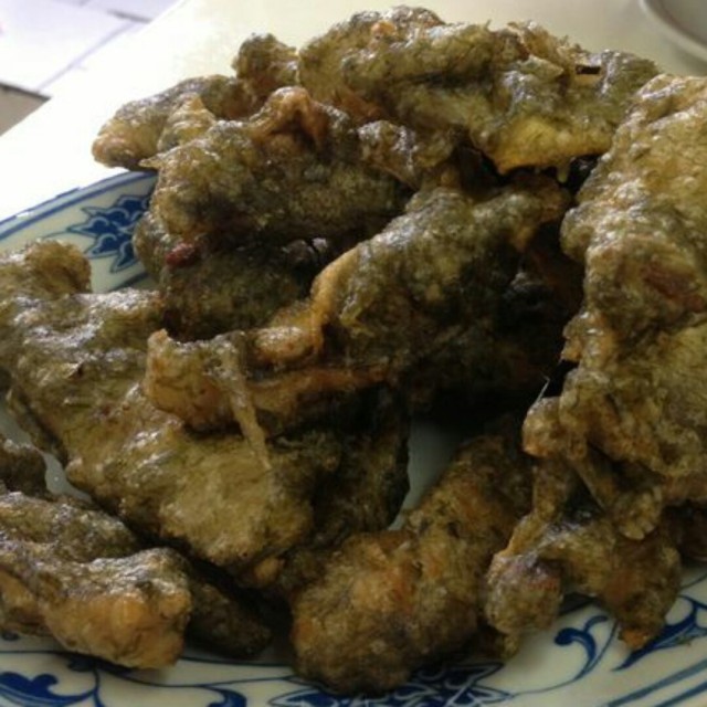 苔条黄鱼