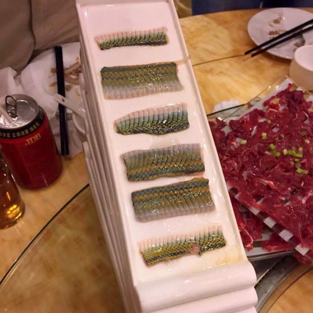 乌俏蛇