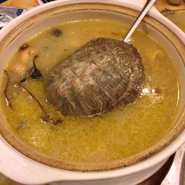 灵芝山龟功夫汤