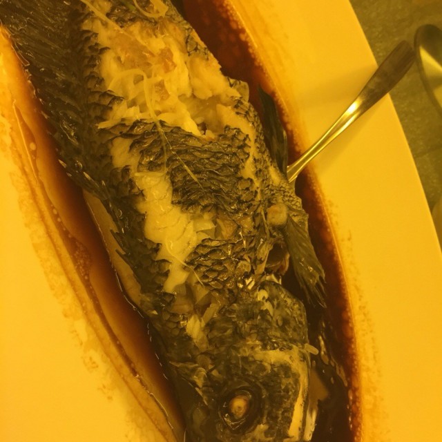 清蒸海斑鱼