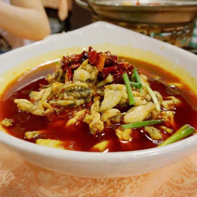 馋嘴蛙