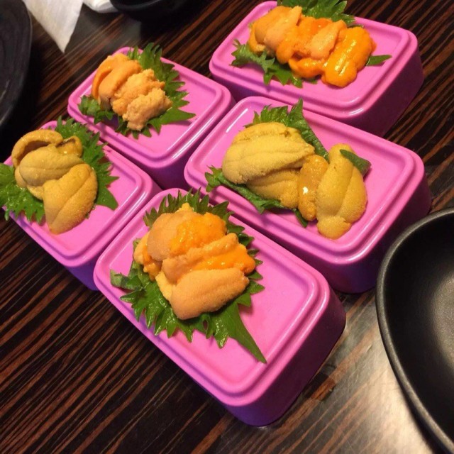 海胆
