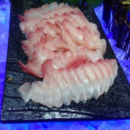 鲷鱼