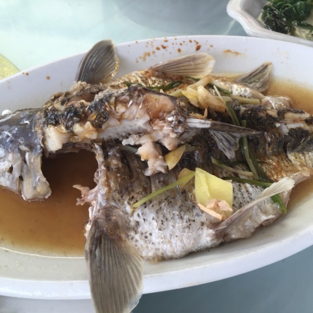 清蒸尖子鱼