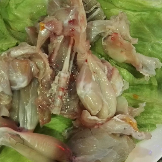 田鸡