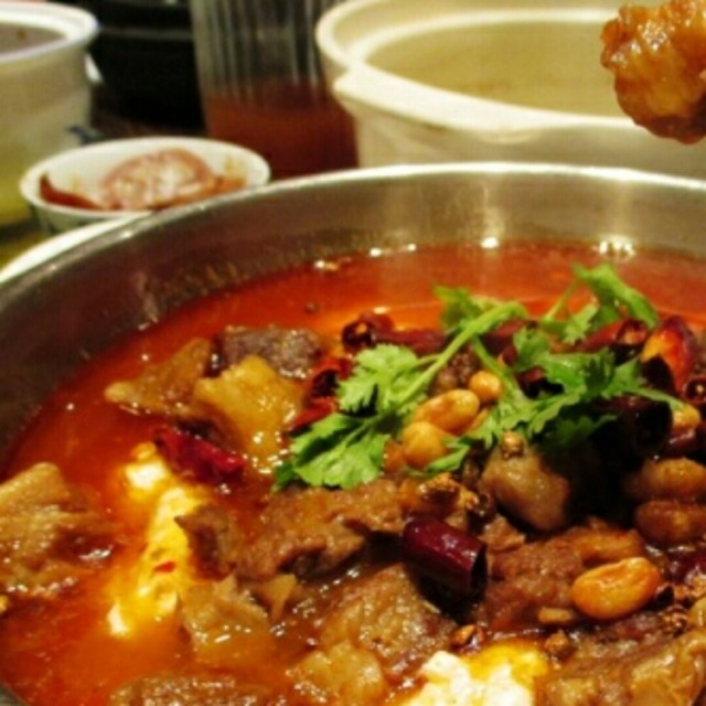 香茜豆花牛腩