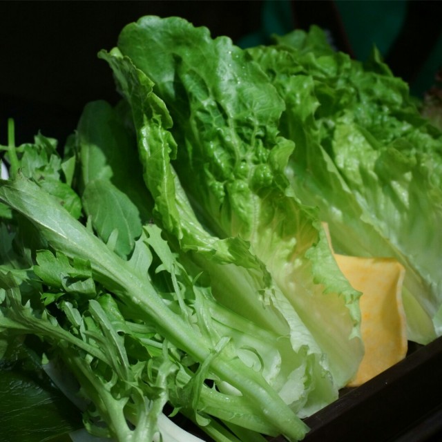 包肉菜