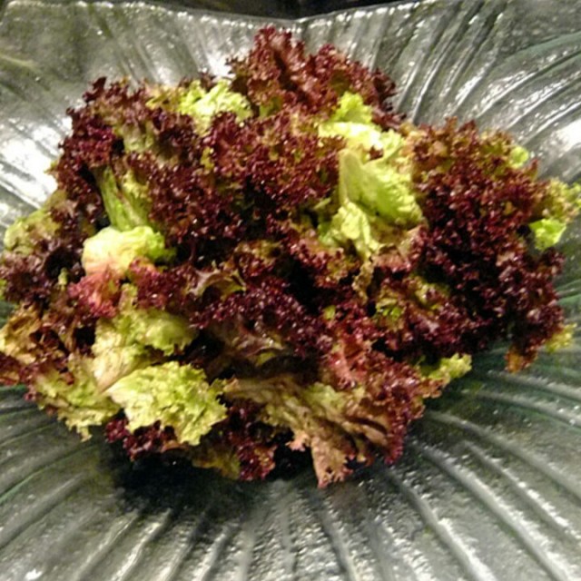 凉拌蓬蒿菜