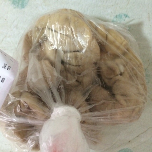 肥肠