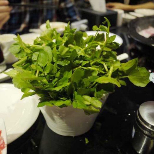 鲜豆苗
