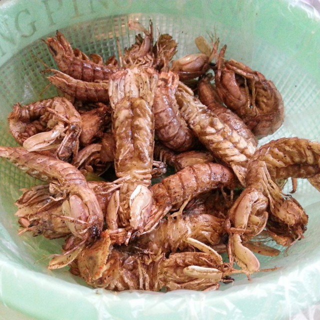 椒盐爬爬虾