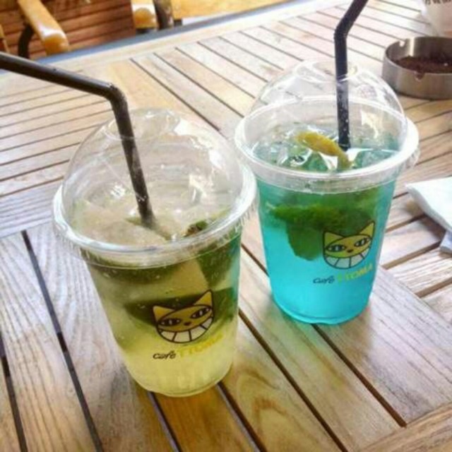 金桔柠檬茶