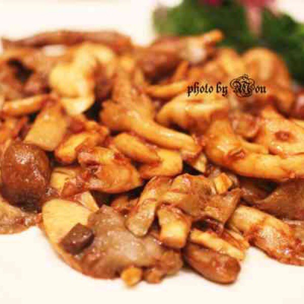 xo酱杂菌